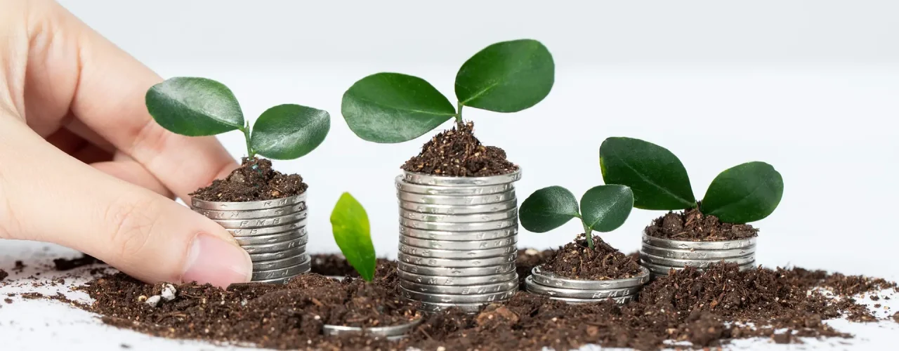 Investment-Management